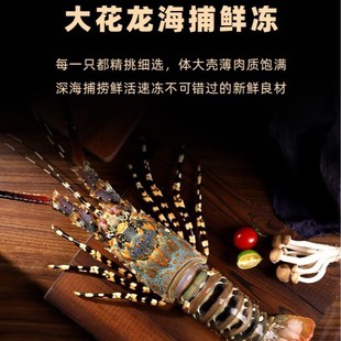 �|ɽ�u�\�������rС�����r�����t���������1-5�� �S��ֱ�����l