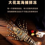东山岛锦绣大花龙虾小青龙虾澳龙红龙活冻花龙1-5斤 厂家直供批发
