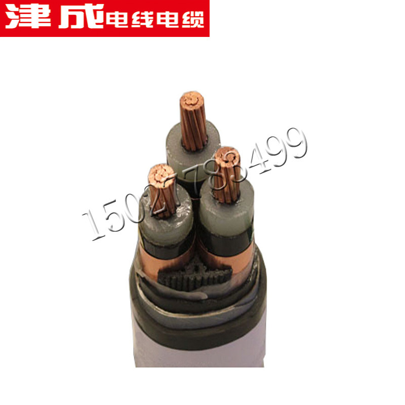天津津成低压塑力电力电缆YJV3X50+1X25低烟低卤无氧铜电力电缆