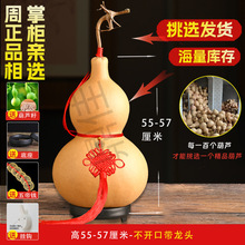 ��Ȼ���J�����С�����^�[���_��ľ���J�͏d�k��ؔ����Ѽ�