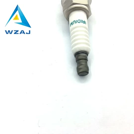 火花塞;汽车传感器;油泵、油嘴