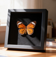 ������˱��b� ��Ʒ�[̨�ҾӔ[�����W�L���w�ֹ�diy���նY��Ʒ