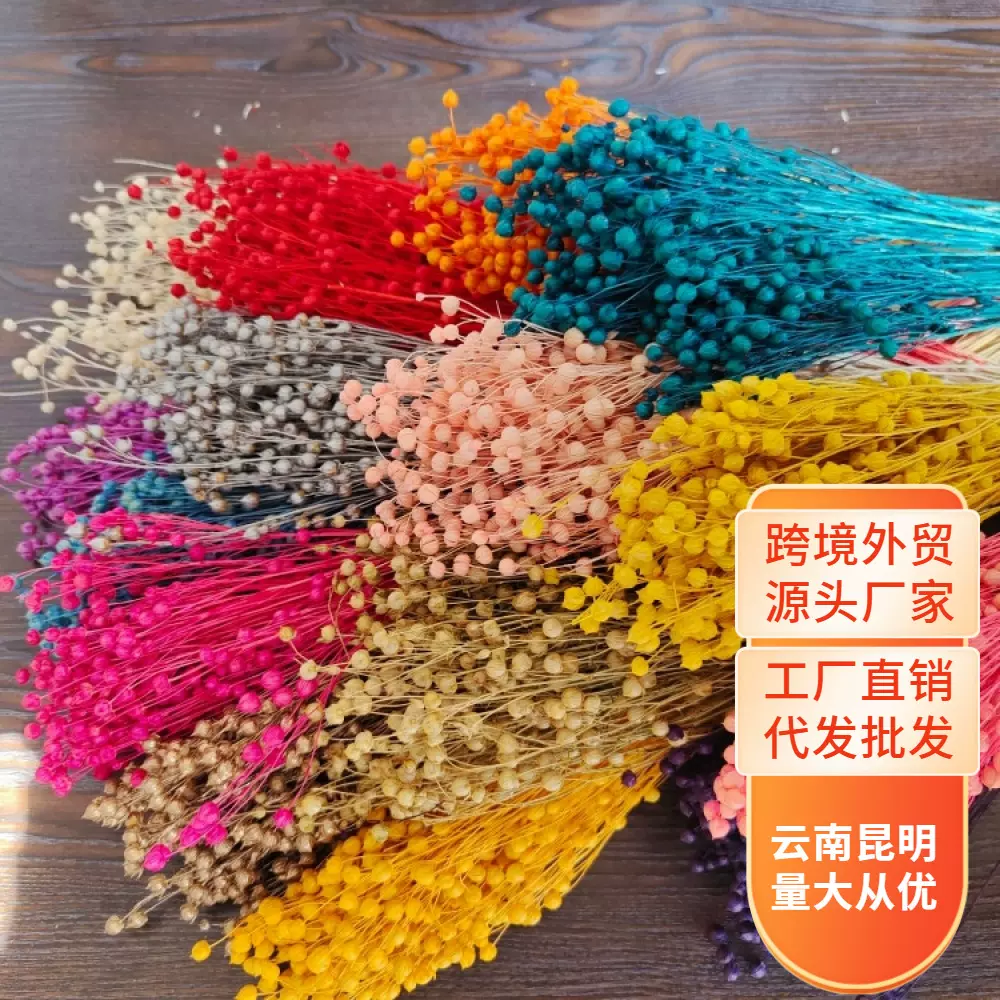 天然干花相思豆富贵豆永生花 DIY相框制作材料 ins风家居装饰配材