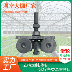 吊轨轨道大棚滑轨帆布吊滑轮移门推拉门滑轮c30吊轮厂家现货