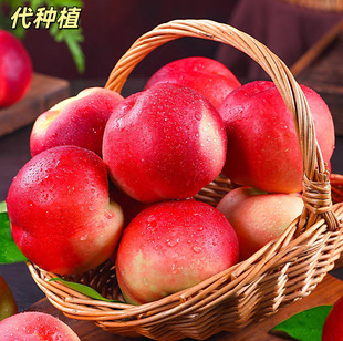 �����֭�oë����o���������ҡ����Nֲ��������l���V������