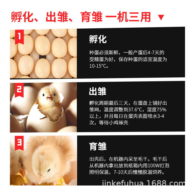 Suministro directo del fabricante: incubadora de huevos para codornices y pollitos, incubadora de huevos pequeña para el hogar, incubadora de aves de corral.