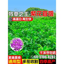 �ϻ���ޣ�N�Ѹߵ��ײ����iţ�����u���Z�~�������ļ��߮a���ݷN��