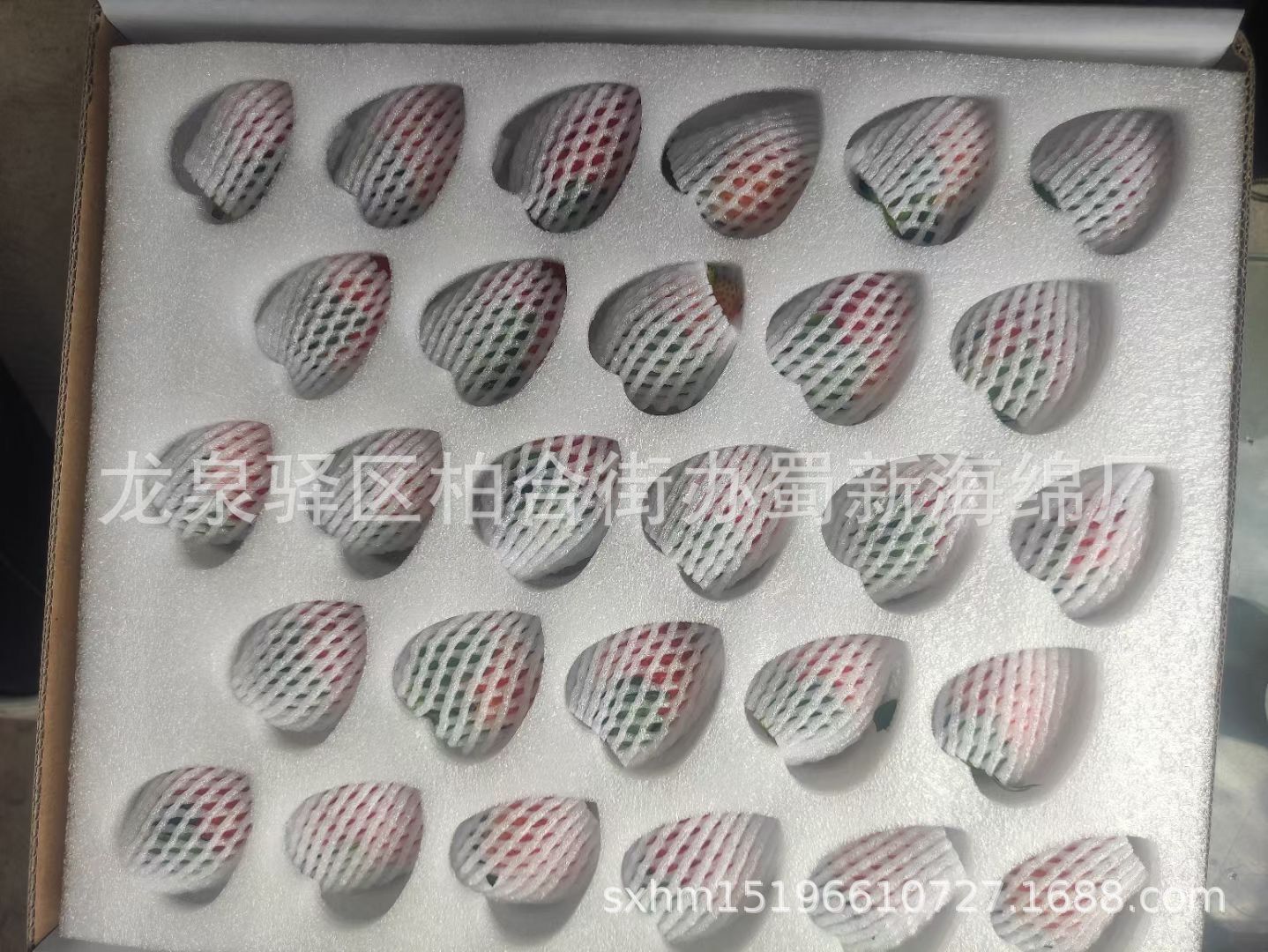 厂家供应各类水果缓冲内衬包装海绵/草莓66枚77枚周转箱海绵