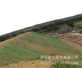 三维植草土工网垫、土工网