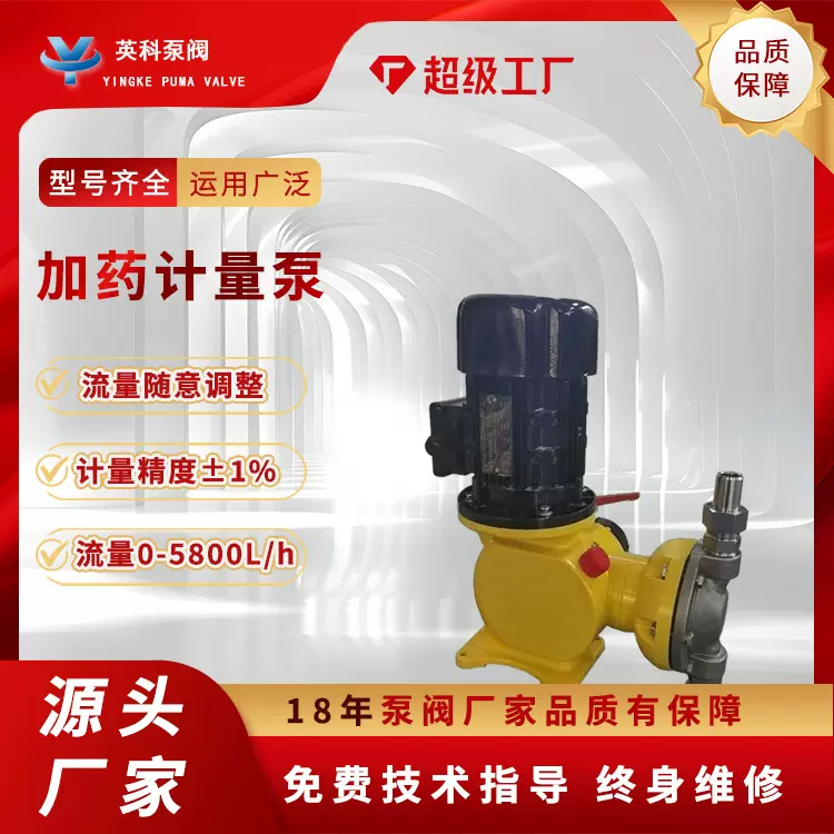 计量泵PAM耐酸碱絮凝剂机械隔膜泵定量阻垢剂加药变频防腐蚀可调
