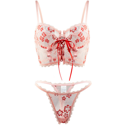 European and American cross-border e-commerce manufacturers direct sales sexy underwear hollow straps see-through lace sexy two-piece suit