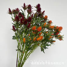 ����Ʒ�|��ɽ���� �ټtɫϵ ��ˇ�OӋ ������ �Ӱ��g�������