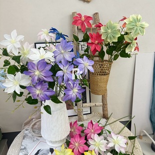 3�^�F��ɏ���ٻ��Ҿӻ�c�zӰ�b������I���������滨diy����