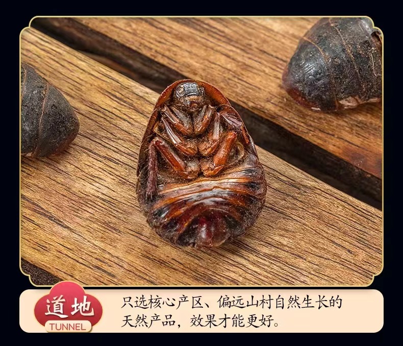 Dried Ground Beetle Tu Bie Chong Whole Insect Chinese Herb Eupolyphaga 500g Loose Bulk quality and texture