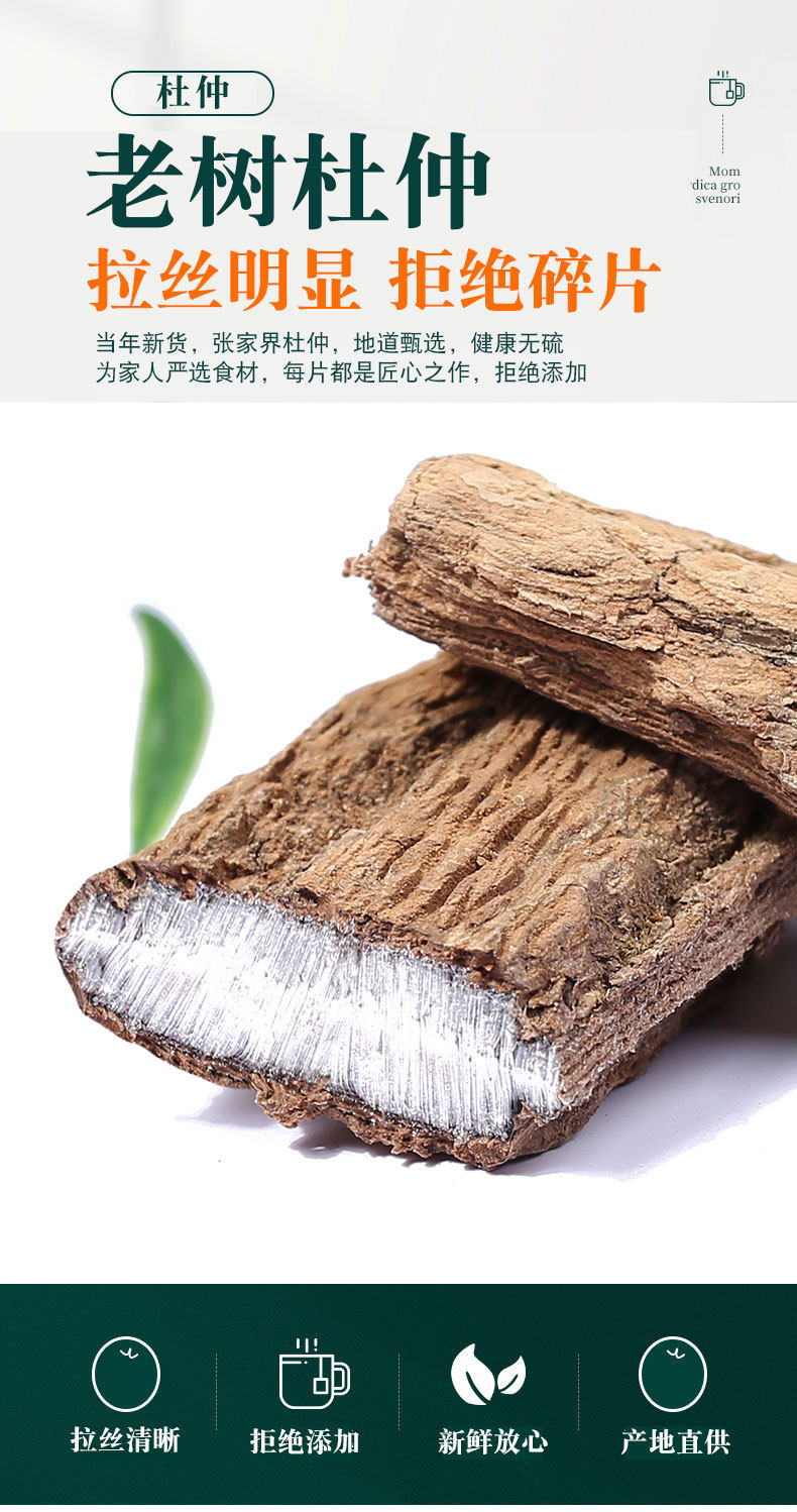 Wild Eucommia Bark 500g Du Zhong Dried Herbal Bark for Soup Wine and Tea overview