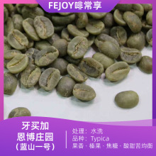 25IӶׯ@{ɽһ̖FƤˮϴ |黹||