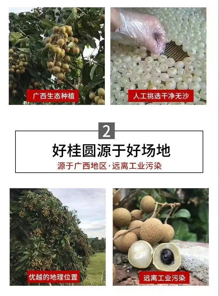 微信图片_20240624110001