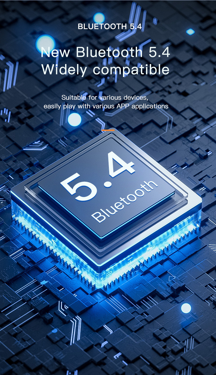 Wireless Bluetooth Hook-on Earphone Business Style With Case_voghion.com