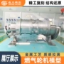 工业仿真定制能源模型