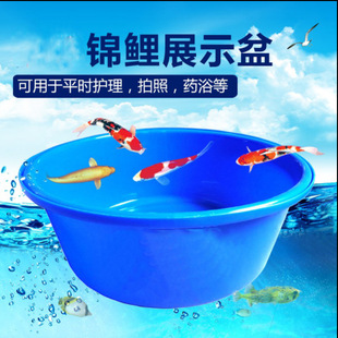 Koi Blue Basin Fishing Field Turnover Temporary Large Exhibition Competition Plastic Basin Mobile Fish Pond Measuring Basin Size Basin