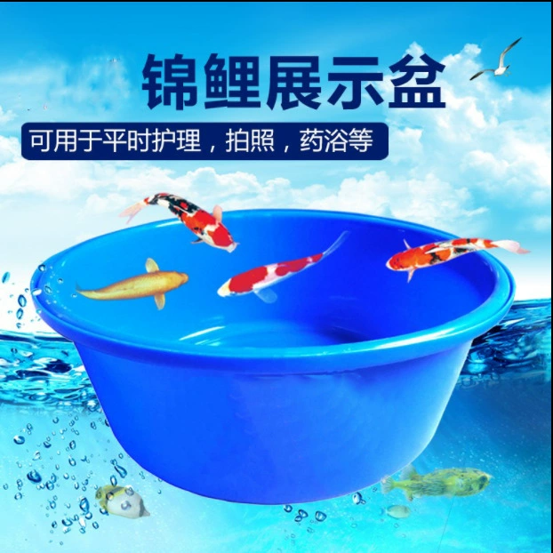 Koi Blue Basin Рыболовное поле Оборот Временное повышение Крупномасштабный выставочный конкурс Пластиковый бассейн Мобильный рыбный пруд Измерительный бассейн Размер бассейна