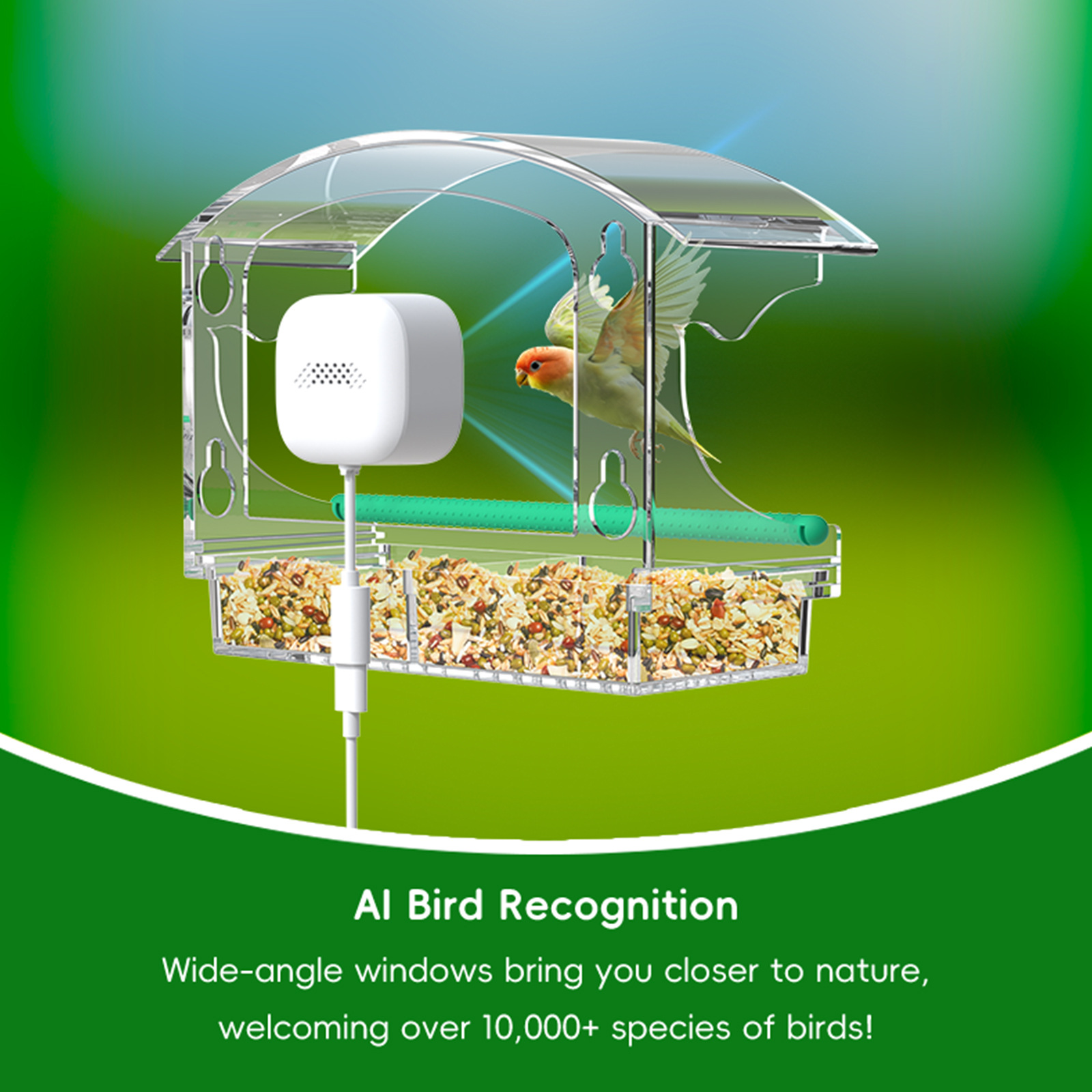 Fuente de fábrica ventana observación de aves AI cámara de reconocimiento de aves transfronteriza nuevo alimentador inteligente monitor alimentador de aves