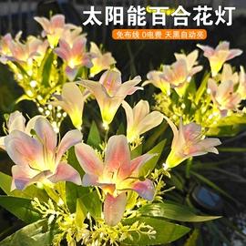 庭院灯;景观灯;太阳能灯