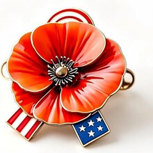 ����վ����ƷFallen Soldiers Memorial Day Badge�¿�o�����