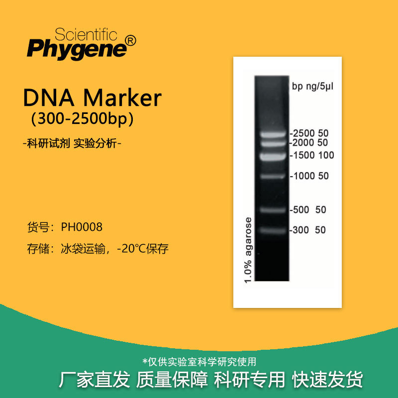 DNA Marker（300-2500bp）核酸电泳试剂 100T [PH0008 PHYGENE]