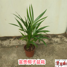 ���FҬ�����ԣ�110#������Ҭ���҃��^�~���ܾGֲ�����՚����^���B