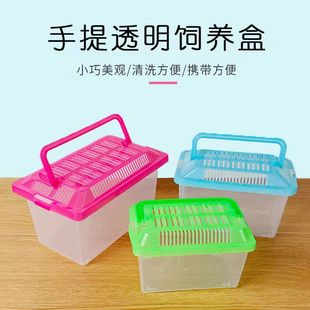 Small Turtle Transport Box Household Hamster Transparent Portable Cage Box Large, Medium and Small Portable Box Can't Fall