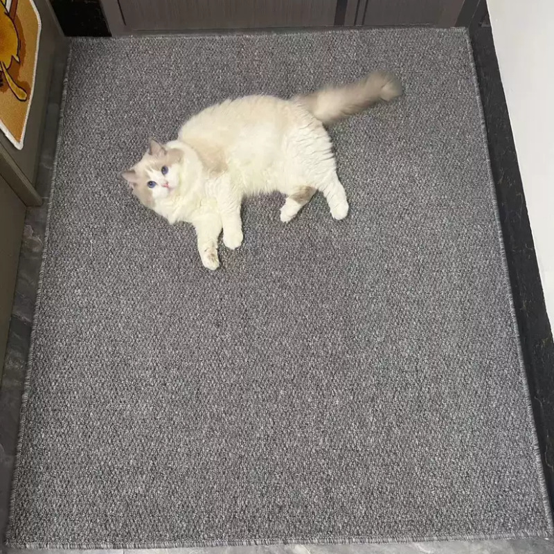 Entrance Door Mat Imitation Sisal Carpet Door Mat Entrance Door Entrance Entrance Door Home Mat Can be Cut