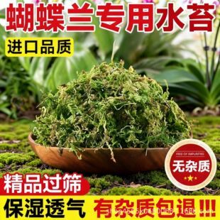 �m������̦�\��Ȼ��̦�m�������mʯ���Nֲ���àI�B�����������|��