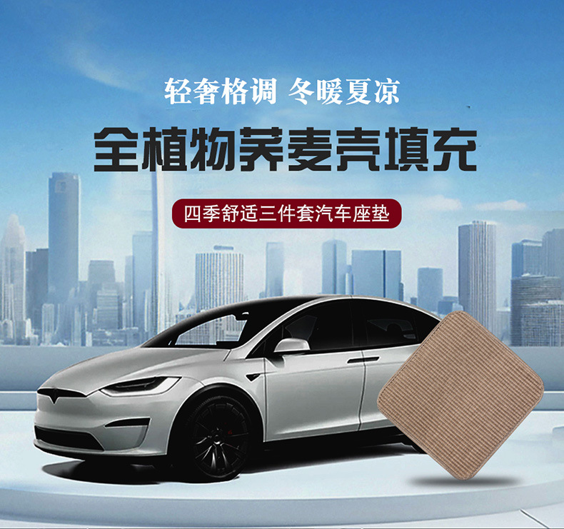 Cross-Border Amazon Four Seasons Health Mat Small Three-Piece Car Seat Cushion Summer Breathable and Comfortable Buckwheat Shell Cushion