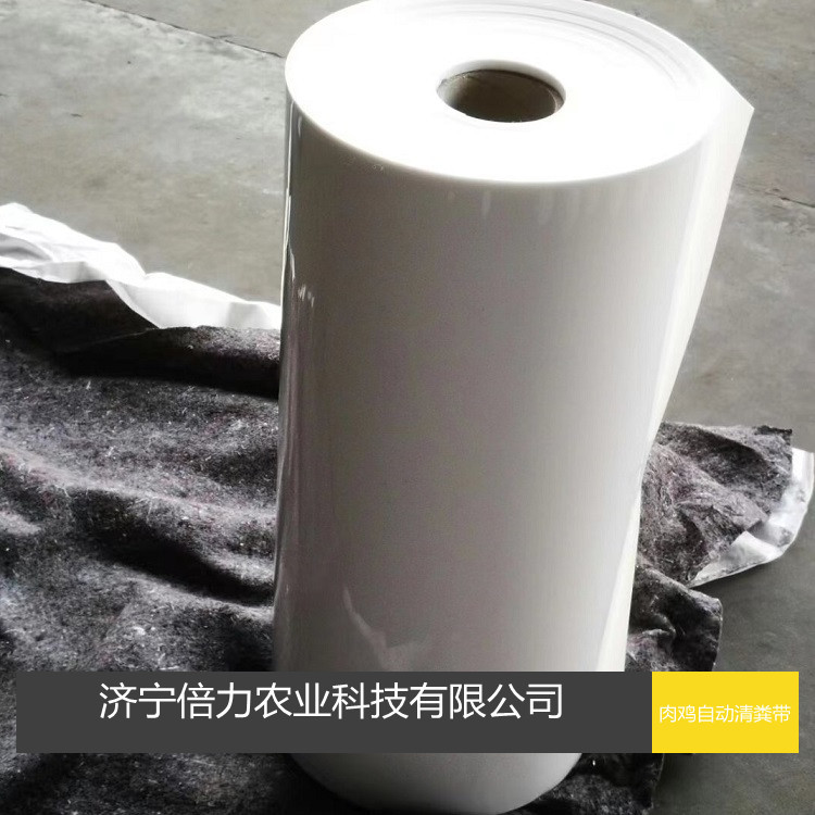 鸡笼传送带鸡粪传送带PP材质清粪带厂家直销耐拉扯耐腐蚀抗高温