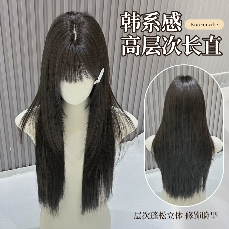 Xinxin【Heartbeat Delivery】Women's Daily Wig, Natural Korean Style, Finely Crafted High-Quality Black Long Straight Full Wig