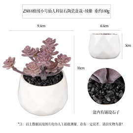 盆景;仿真绿植;盆栽
