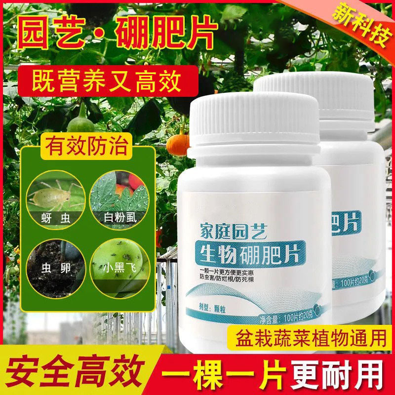 园艺防虫片 植物通用蚜虫小黑飞多肉蚧壳虫红蜘蛛花卉 糖化硼肥片