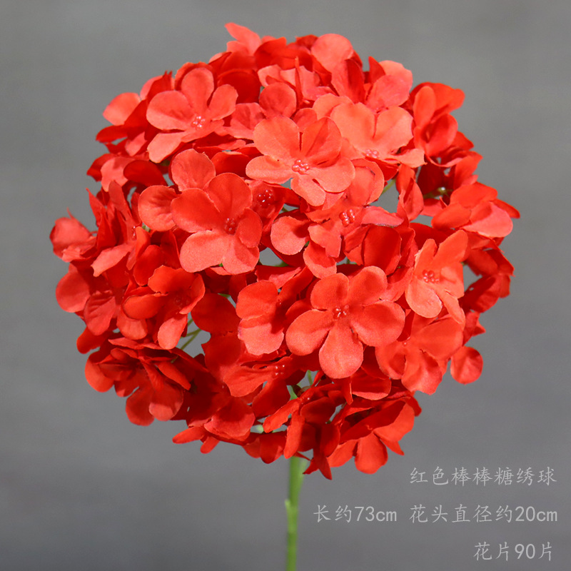 빨간색 막대사탕 수국