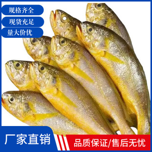 ��С�S���~��S�~���rˮ�a�r��С�S�~�в͟����̳��Ⱥ��aƷ���l