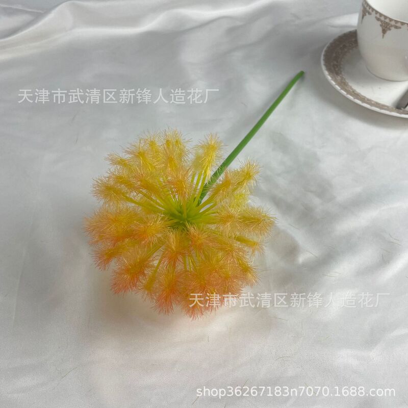 タンポポは玉ねぎの花球の造花撮影だけを模倣しています。|undefined