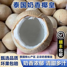 【顺丰】泰国牛奶椰皇新鲜6个装椰青当季煲鸡汤老椰子肉300-400g
