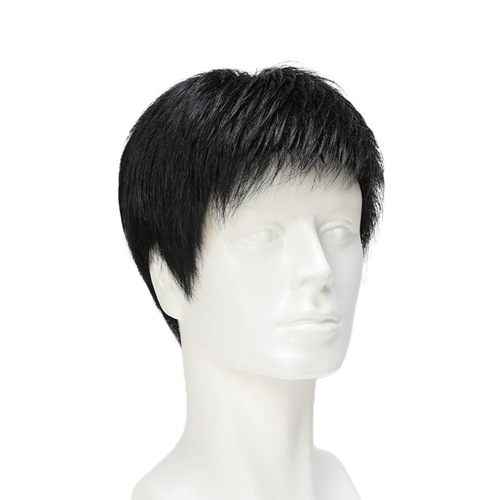Handsome men's wig, real hair, full head cover, Xuchang manufacturer wholesale, hand-woven wig set for middle-aged and elderly men with short hair