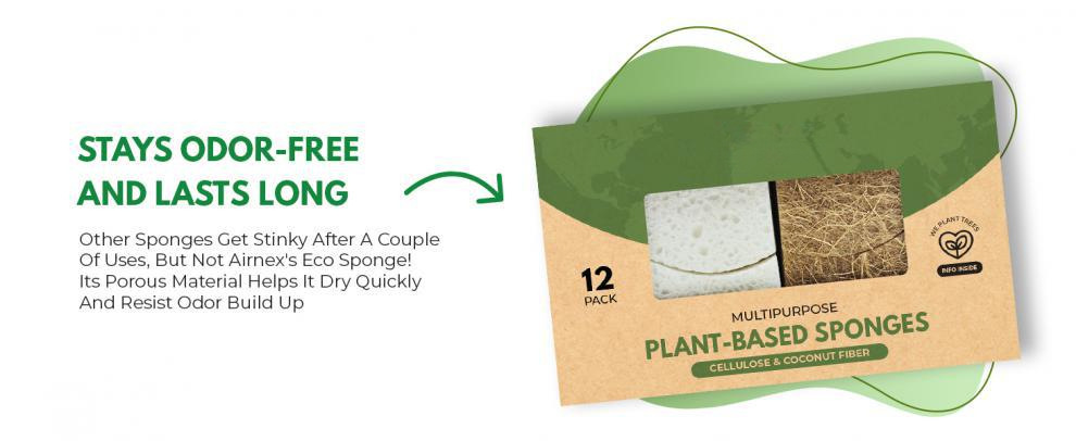 S-Shaped Coconut Sponges