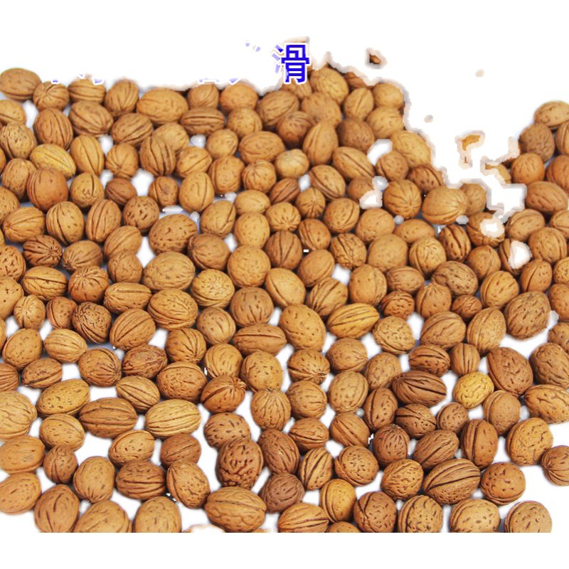 PK7J5斤野生桃核頸椎枕頭填充物桃胡護頸枕芯山核桃枕頭原材料保