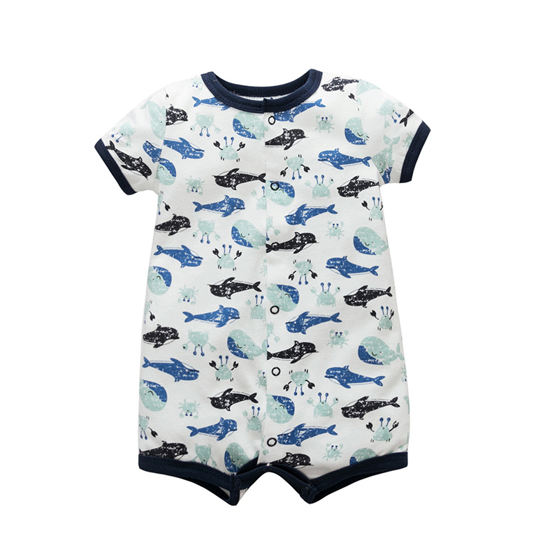 짧은 등반 고래