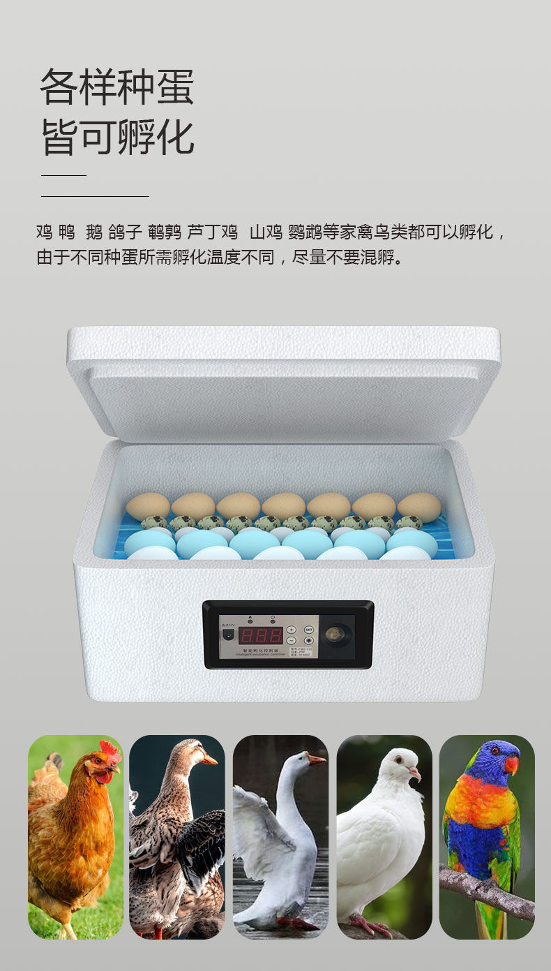字体检测_03.jpg