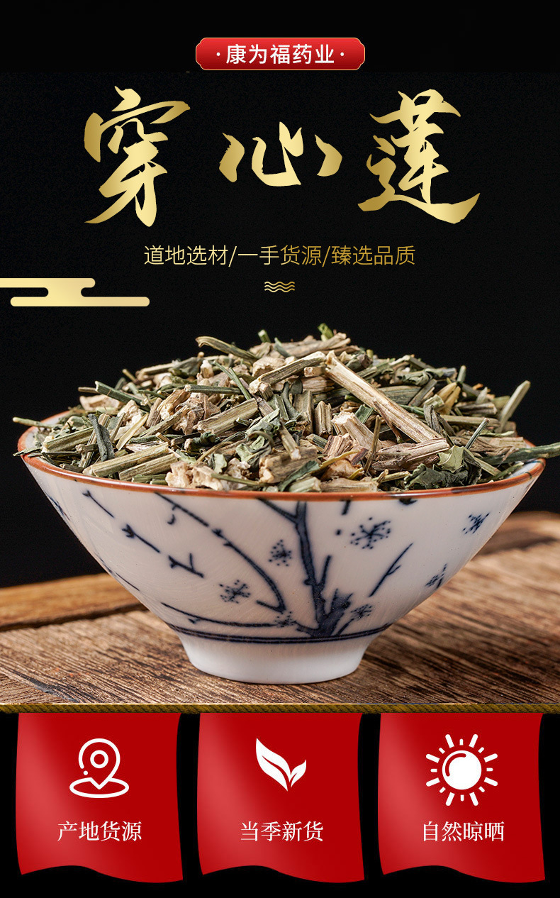 Chuan Xin Lian Powder (Andrographis paniculata) — Bitter Herb Powder, 500g overview
