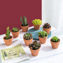 �������k���������������ֲ��ֲ��M�������f��ɽ�J�C��������¶