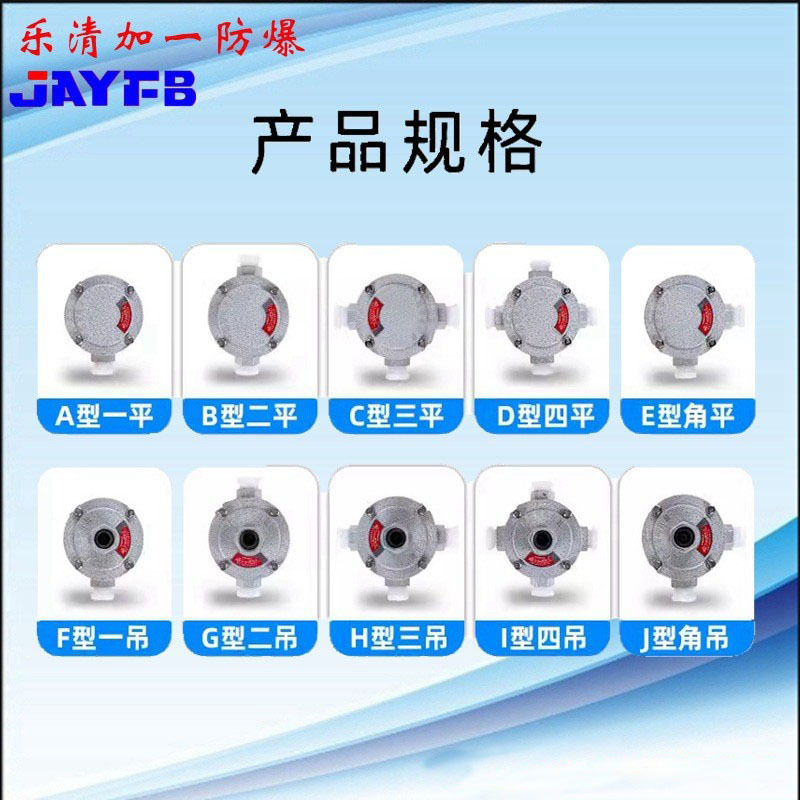 供应BHD51(AH)防爆接线盒，G20防爆接线盒（生产，质量保证）